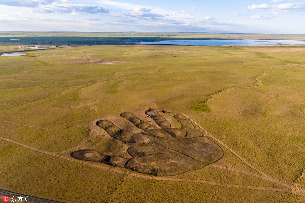 Giant Buddha S Palm Appears In Inner Mongolia