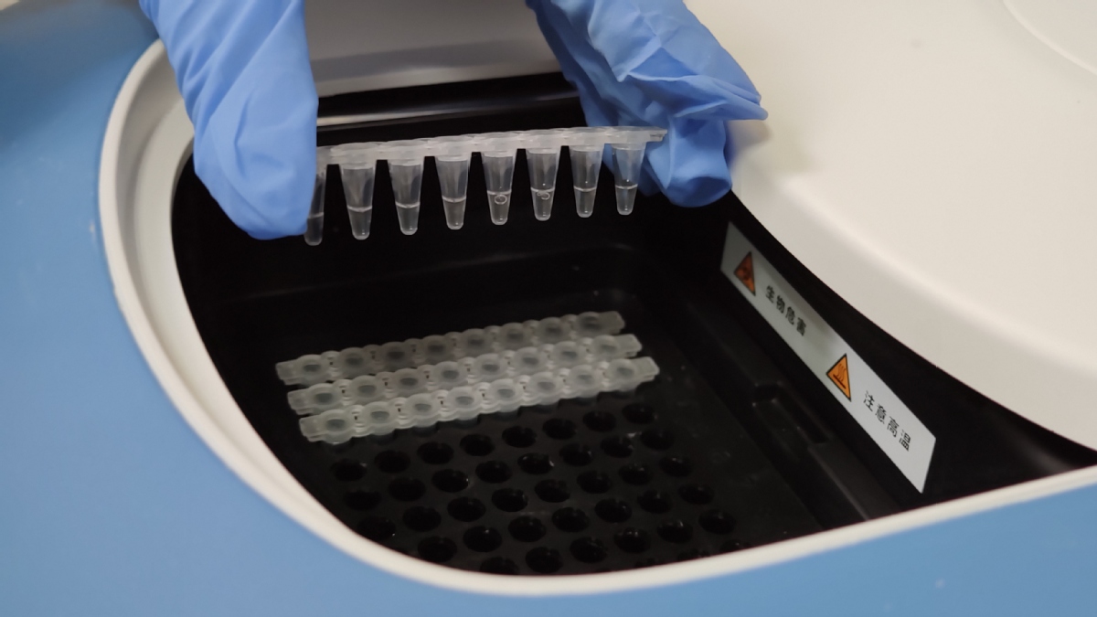 New test kits give answers within 45 minutes