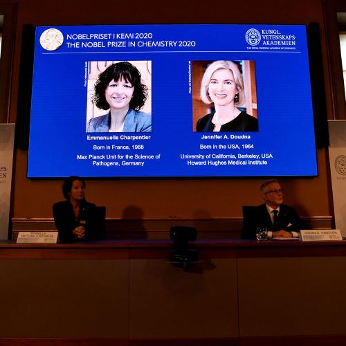 CRISPR scientists earn Nobel Prize in Chemistry